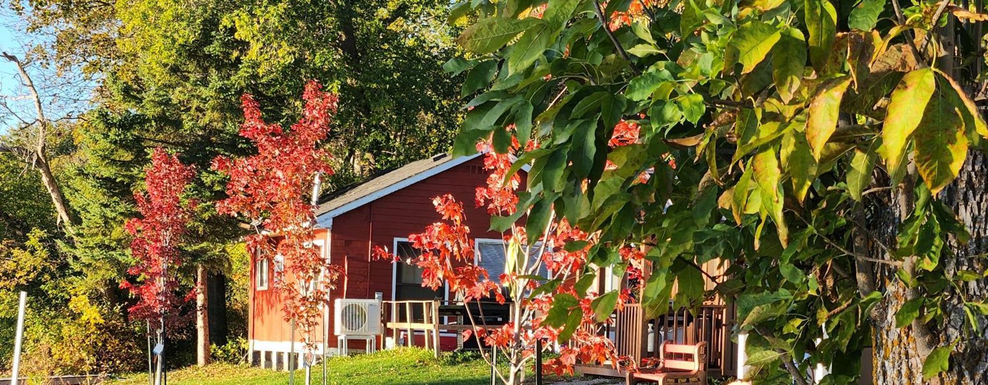 Trent River Cottages Hastings Kültér fotó
